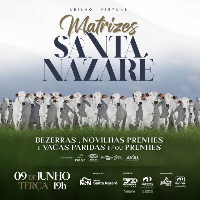 Leilão Virtual Matrizes Santa Nazaré