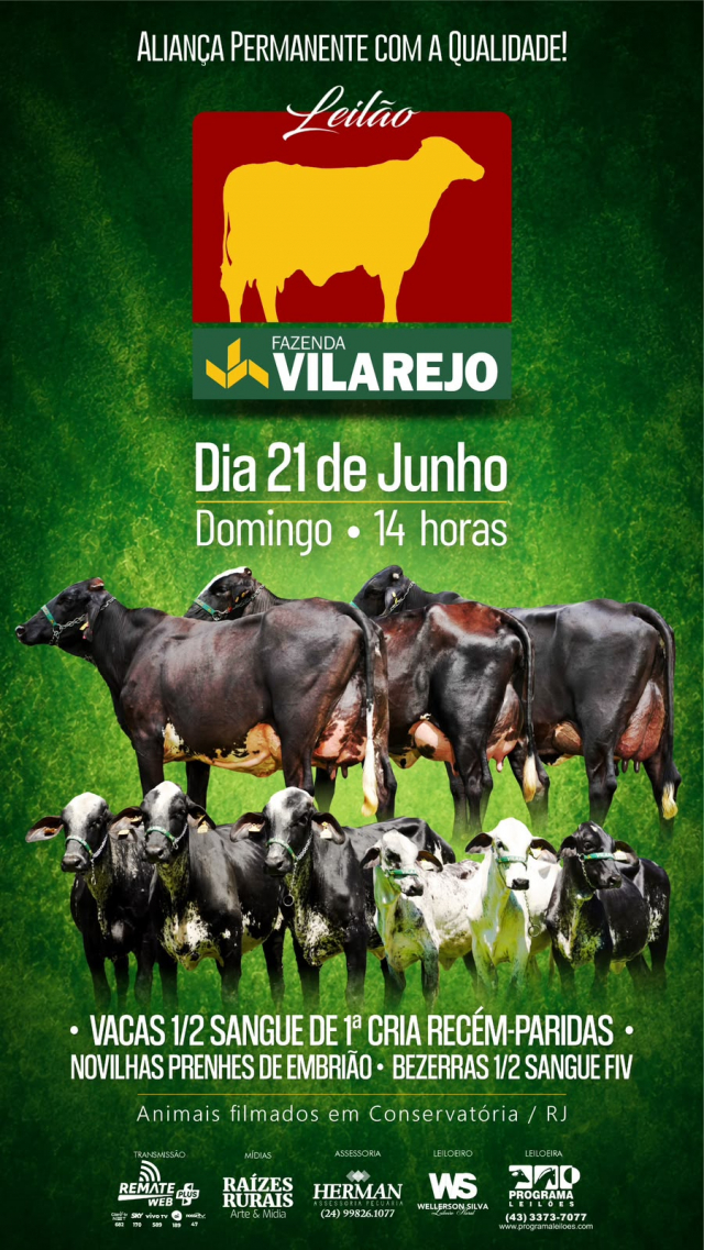 Leilão Fazenda Vilarejo - Girolando