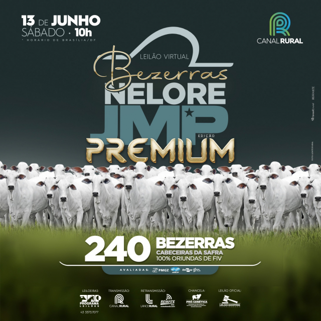 Virtual Bezerras Nelore JMP Edição Premium