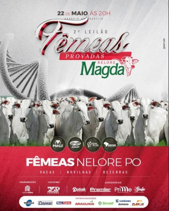 2º Leilão Virtual Fêmeas Provadas - Nelore Magda