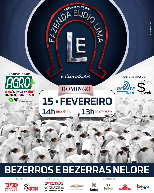 Leilão Virtual Fazenda Elídio Lima e Convidados