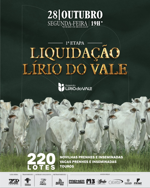 Leilão Virtual Liquidação Lirio do Vale