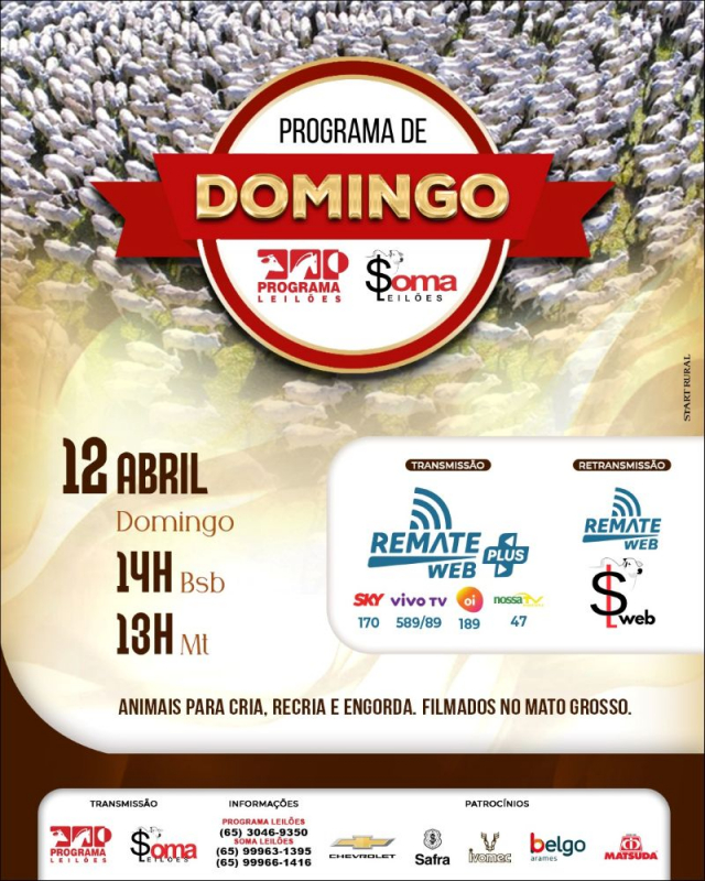 148° Programa de Domingo - Programa e Soma Leilões