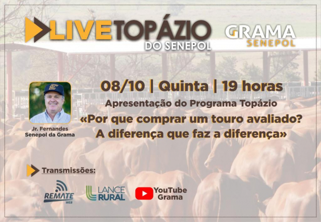 1° Live Topázio do Senepol