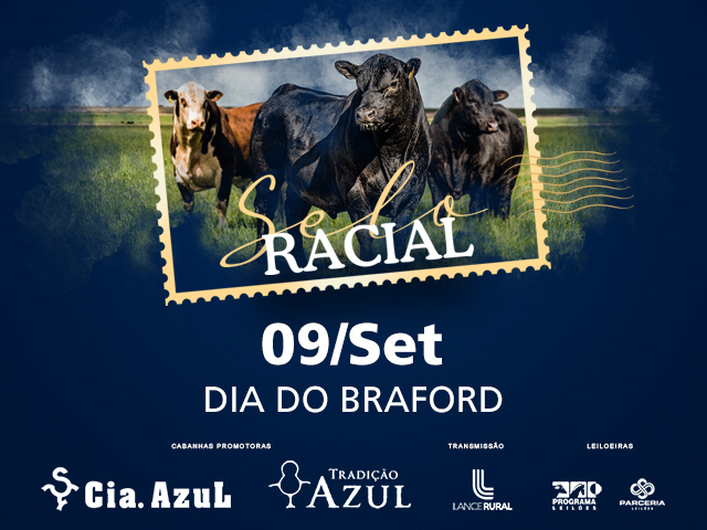 Leilão Selo Racial - Braford