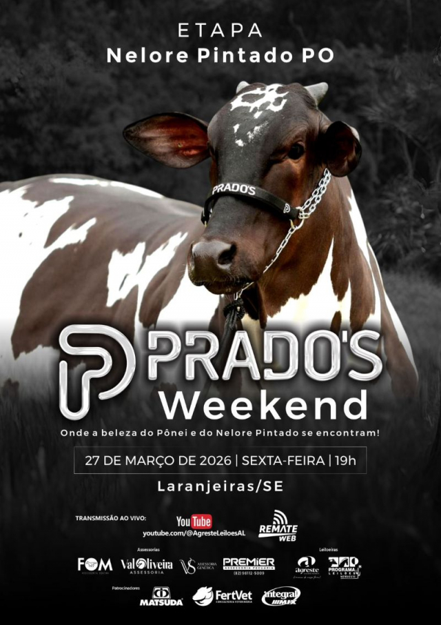 Leilão Prado's Weekend - Nelore Pintado PO