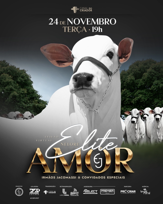 Leilão Virtual Nelore Elite Amor