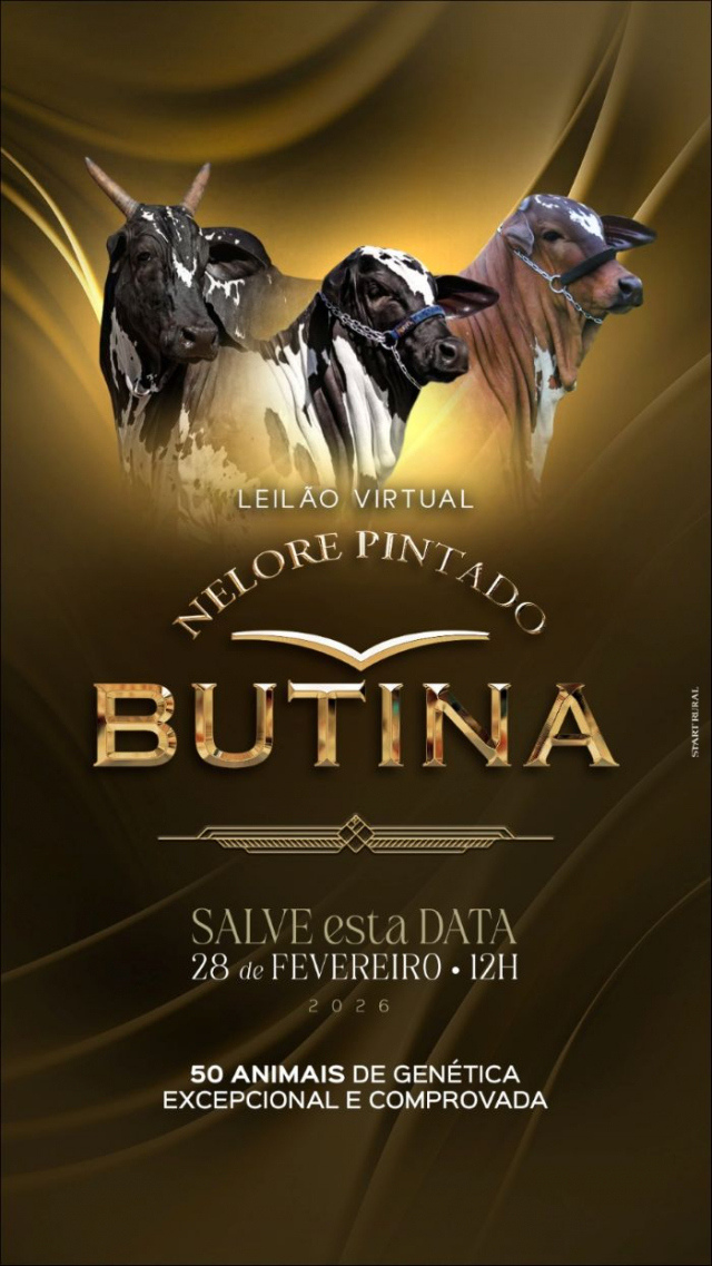 Leilão Virtual Nelore Pintado Butina