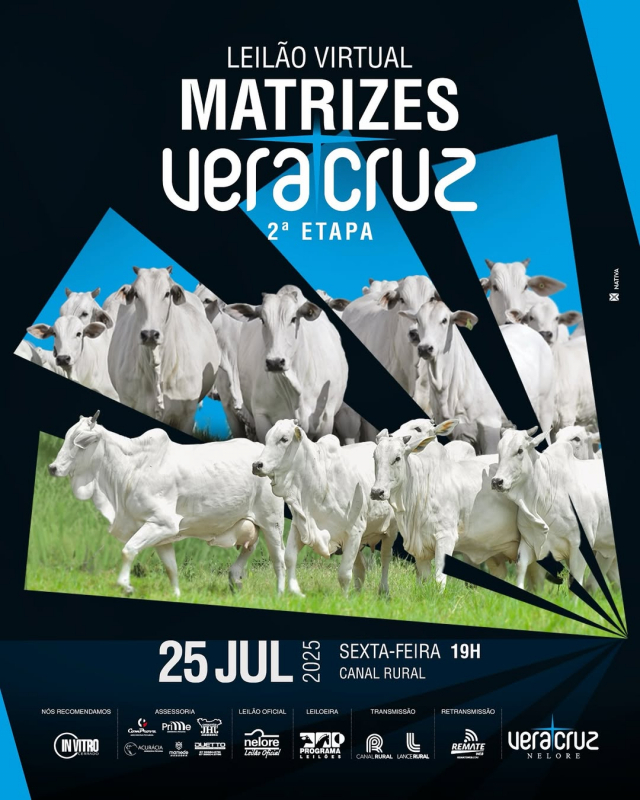 Leilão Virtual Matrizes Vera Cruz - 2ª Etapa
