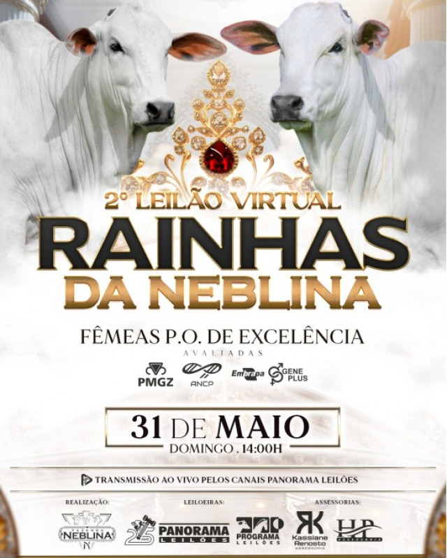 2º Leilão Virtual Rainhas da Neblina