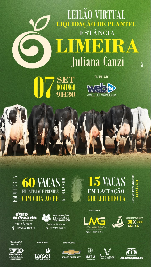 2º Leilão Virtual Estância Limeira