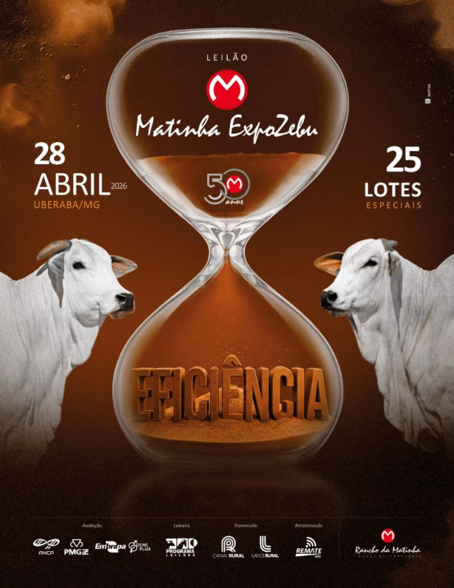 Leilão Matinha Expozebu - Eficiência