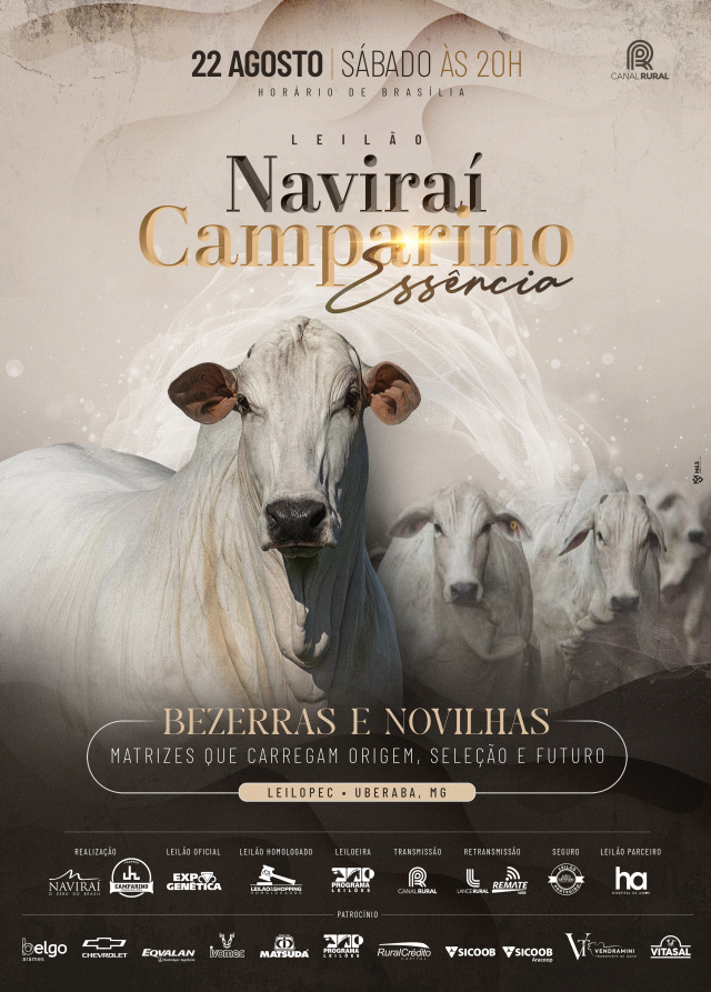 Leilão Naviraí Camparino - Matrizes Essência