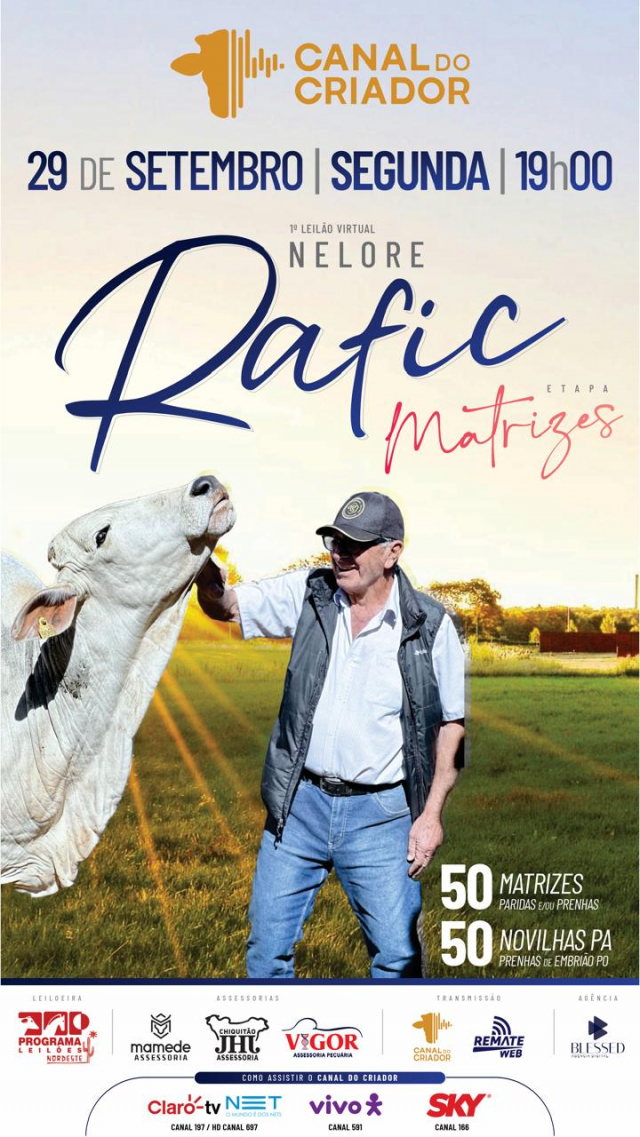 1º Leilão Virtual Nelore Rafic - Matrizes