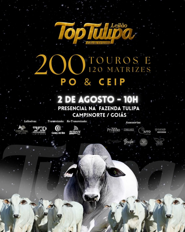 Leilão Top Tulipa - Edição Origens