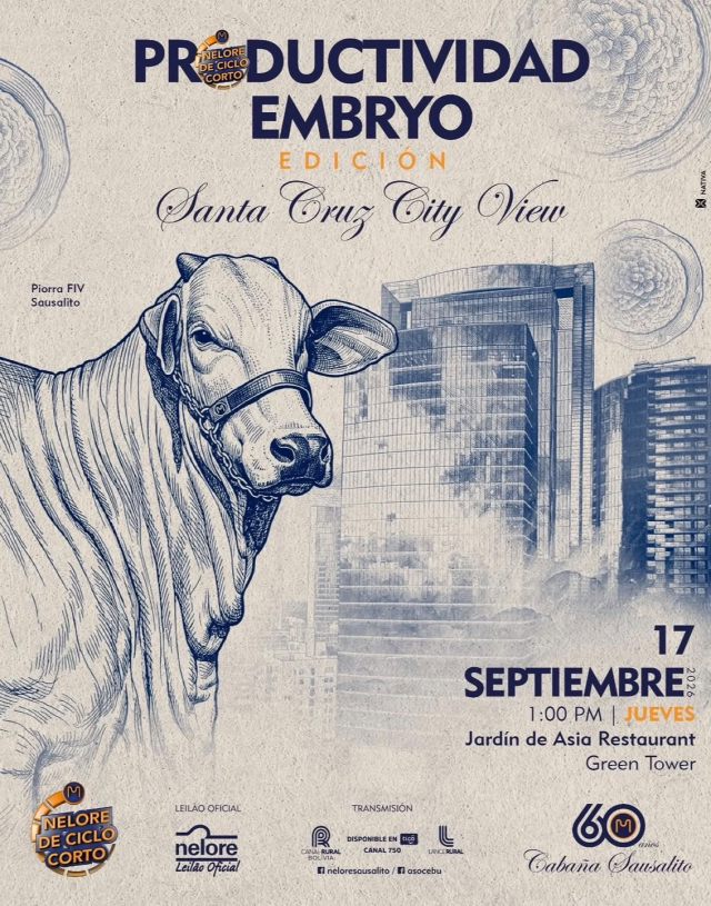 Productividad Embryo Edición Santa Cruz City View