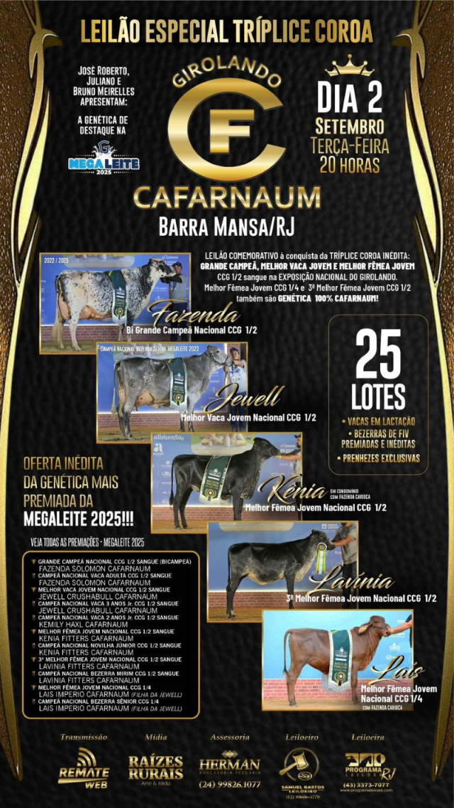 Leilão Especial Tríplice Coroa - Girolando Cafarnaum