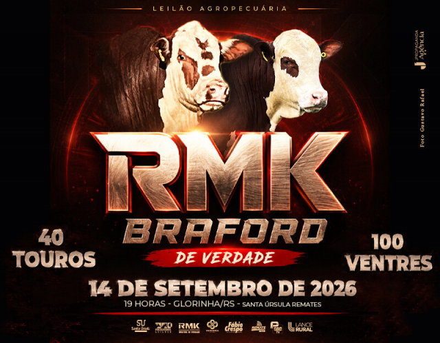 Leilão Agropecuária RMK - Braford