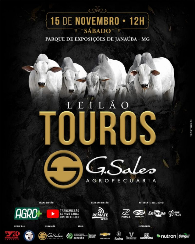 Leilão Touros G. Sales Agropecuária