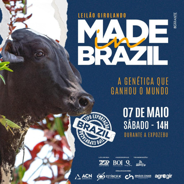 Leilão Girolando Made In Brazil