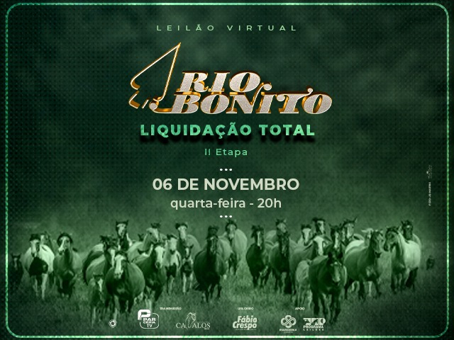 Leilão Virtual Rio Bonito