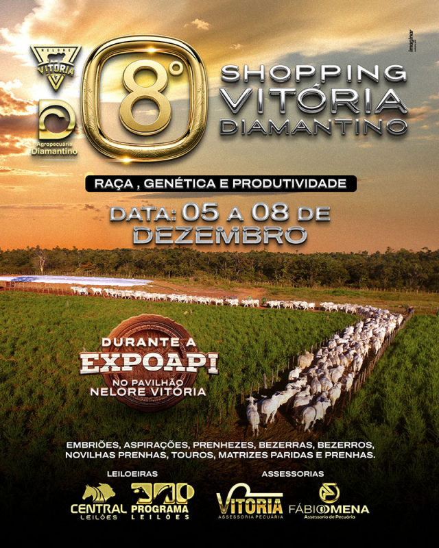 Shopping Vitória Diamantino