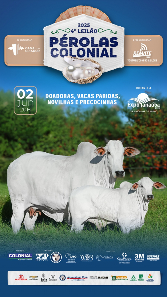 4° Leilão Pérolas Colonial