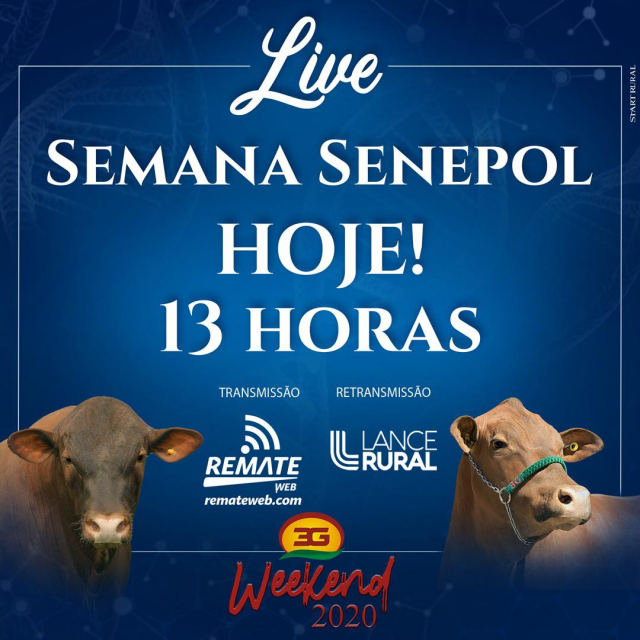 Live Semana do Senepol 3G