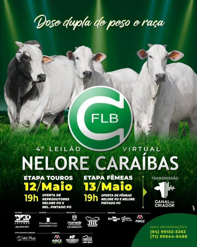 4º Leilão Virtual Nelore Caraíbas - Matrizes