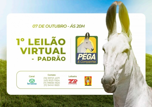 1° Leilão Virtual Padrão - Pêga e Muares