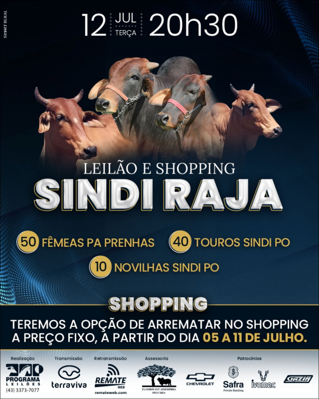 Leilão e Shopping Sindi Raja