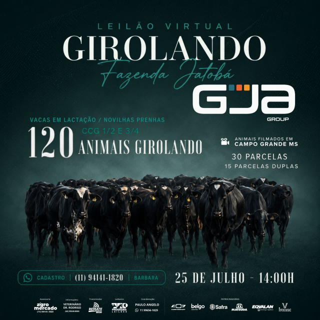 Leilão Virtual Girolando Fazenda Jatobá