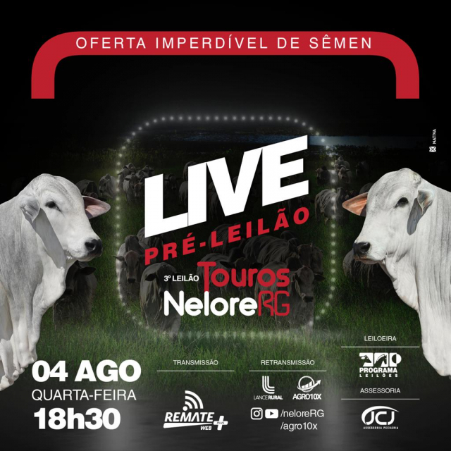 LIVE | 3° Leilão Touros Nelore RG