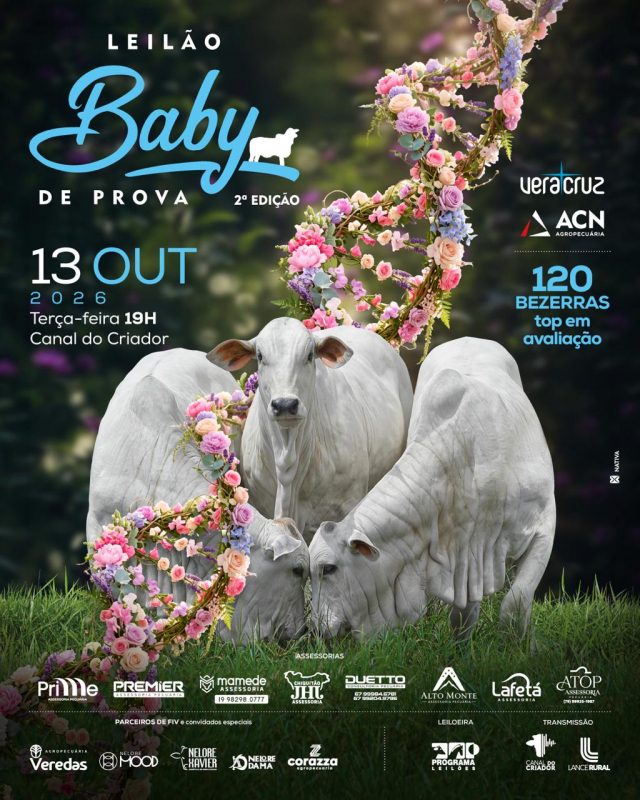 Leilão Baby de Prova 2º Edição