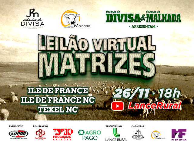 Leilão Virtual Matrizes - Divisa & Malhada