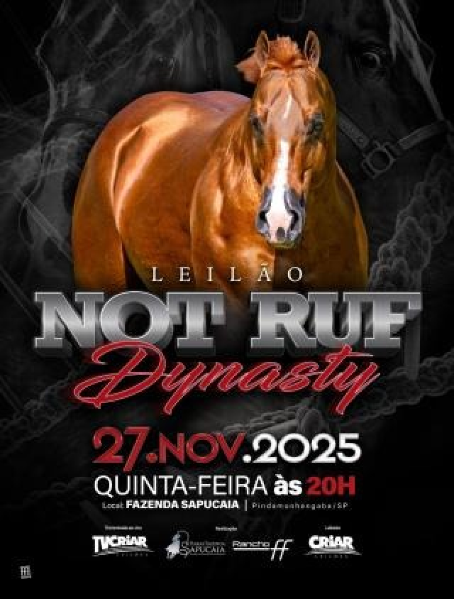 Leilão Not Ruf Dynasty