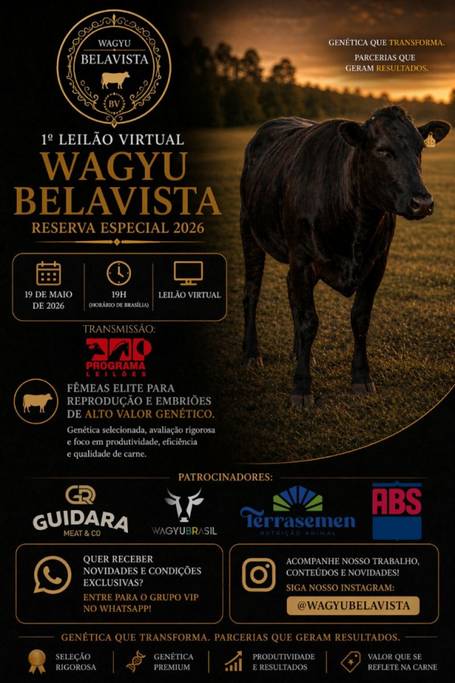Leilão Virtual Wagyu Bela Vista - Reserva Especial 2026