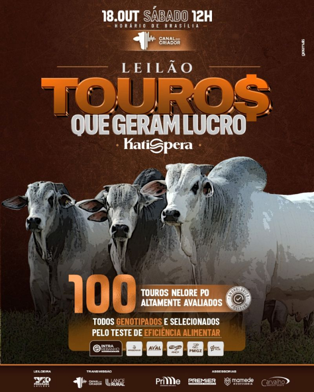 Leilão Virtual Nelore Katispera - Touros