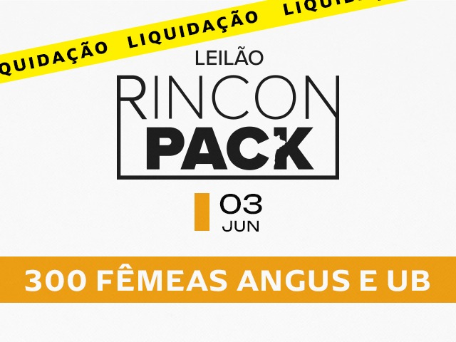 Leilão Virtual Rincon Pack Angus e UB