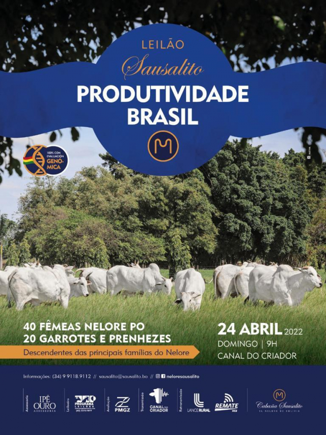 Virtual Sausalito Produtividade Brasil