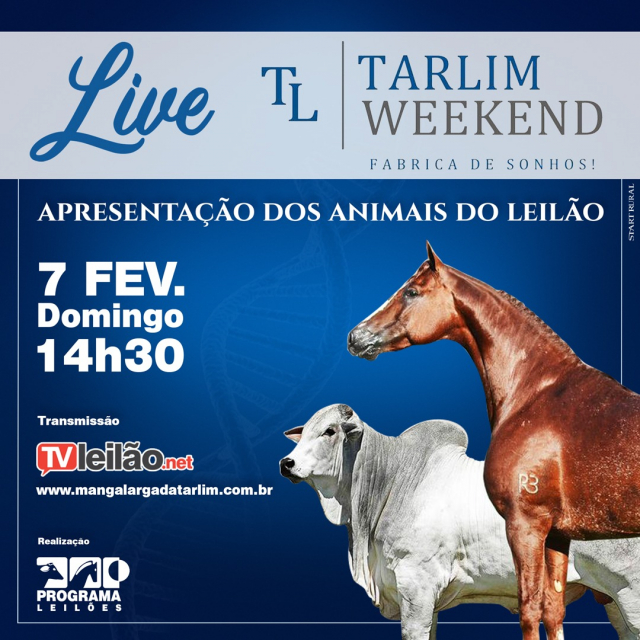 Live Tarlim Weekend - Apresentação dos animais
