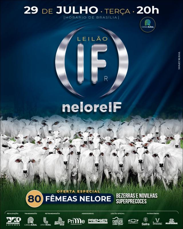 Leilão Virtual Nelore IF - Fêmeas