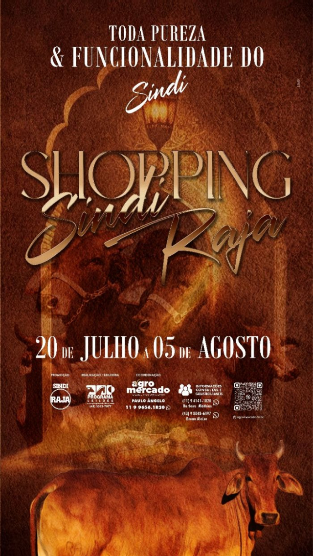 Shopping Virtual Sindi Raja - Toda Pureza e Funcionalidade do Sindi