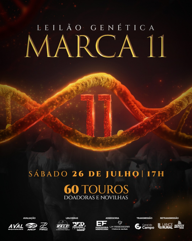 Leilão Genética Marca 11
