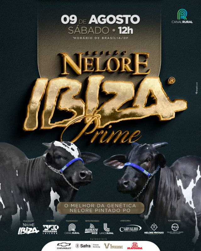 Leilão Virtual Nelore Ibiza Prime
