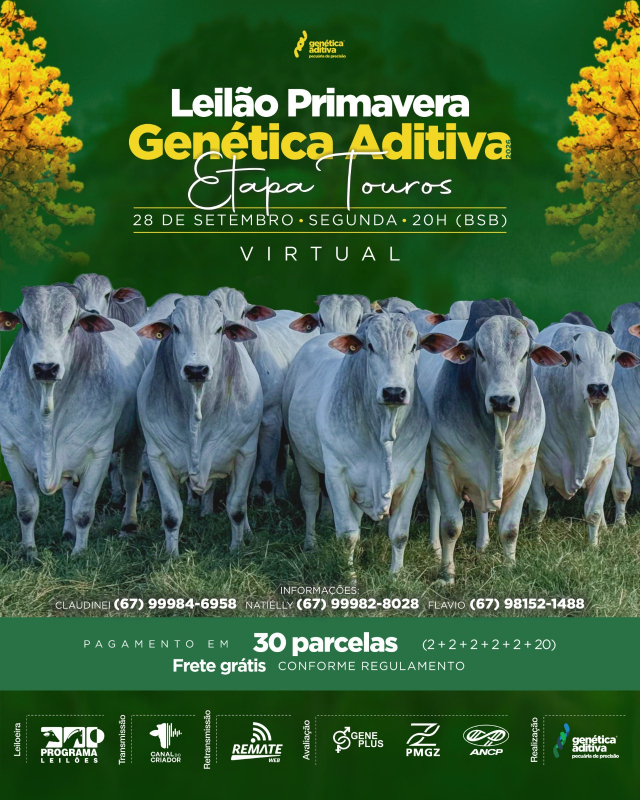 Leilão Primavera Genética Aditiva - Etapa Touros