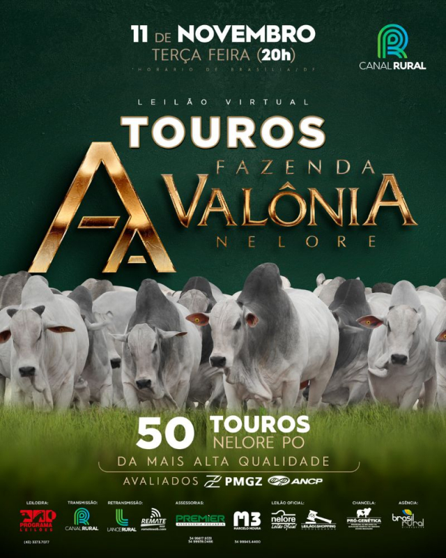 Leilão Virtual Touros Fazenda Valônia Nelore