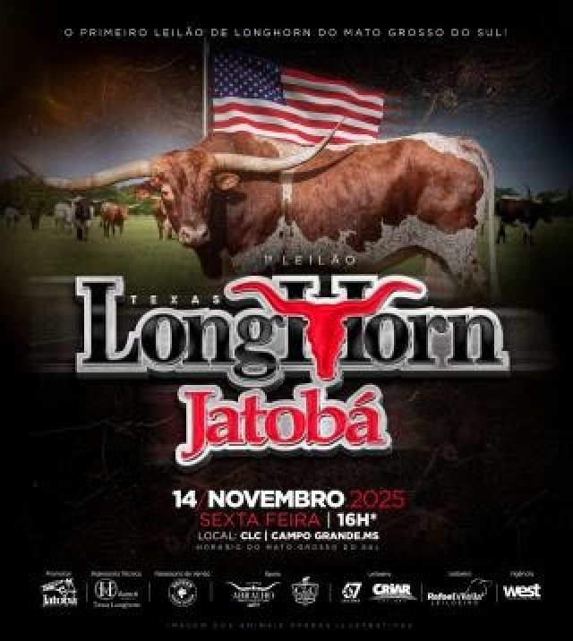 1º Leilão Texas Longhorn  - Jatobá