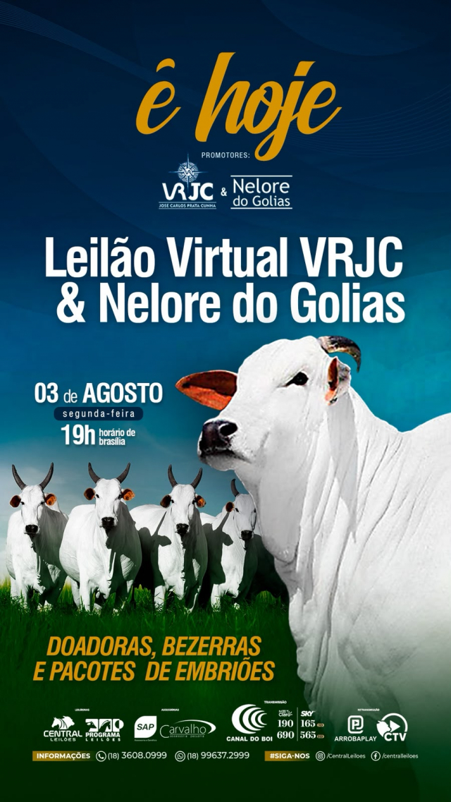 Leilão Virtual VRJC & Nelore do Golias