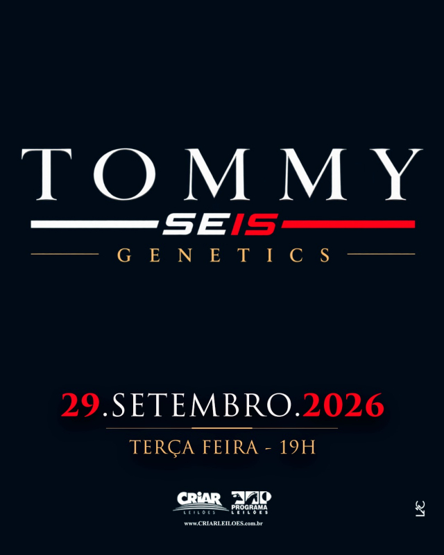 Leilão Tommy Seis Genetics